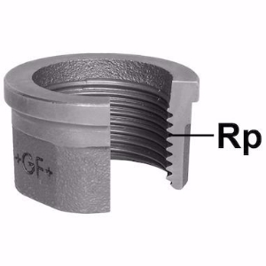 Picture of +GF+ 372 Einlegteil, flach dichtend, egal, Dim. Rp ″: 2, Art.Nr.: 770372109